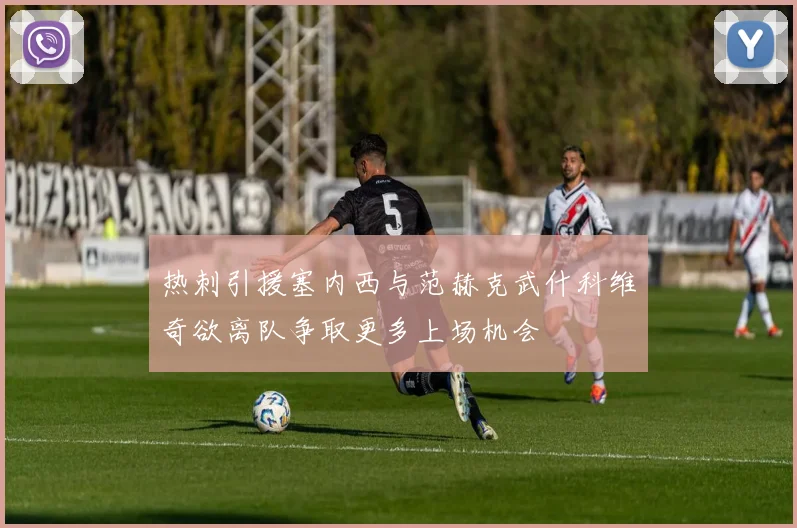 热刺引援塞内西与范赫克武什科维奇欲离队争取更多上场机会