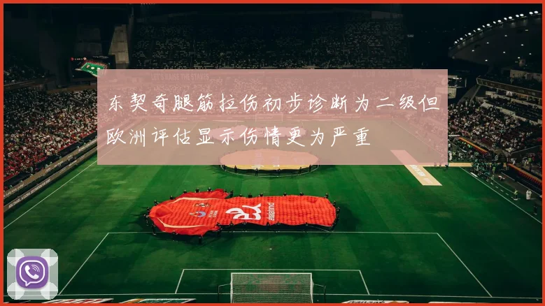 东契奇腿筋拉伤初步诊断为二级但欧洲评估显示伤情更为严重